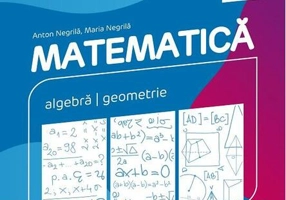 Matematică. Algebră, geometrie. Clasa a VIII-a. Consolidare. Partea I