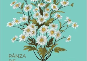 Pânza de păianjen (Vol. 4)