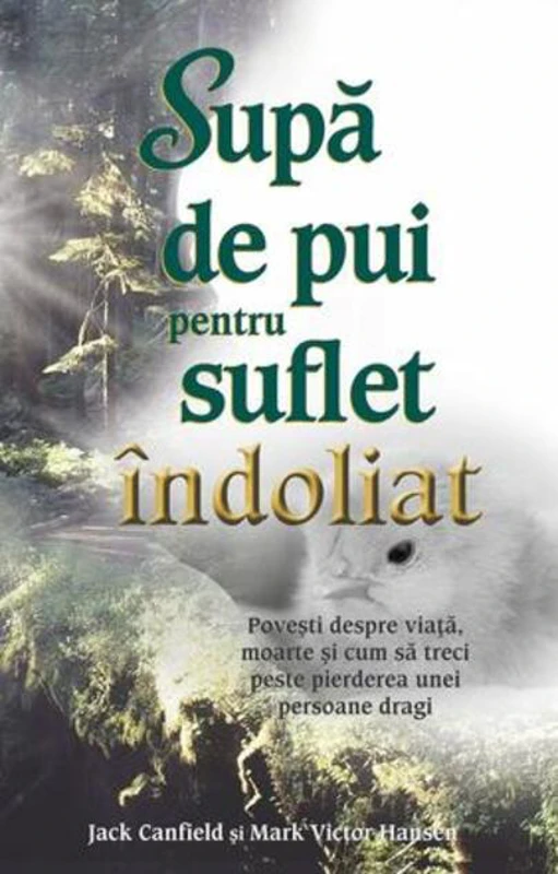 Supă de pui pentru suflet îndoliat. Poveşti despre viaţă, moarte şi cum să treci peste pierderea unei persoane dragi