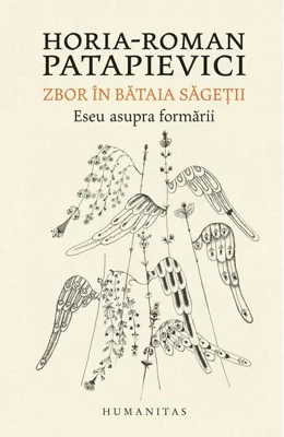 Zbor în bătaia săgeţii