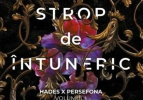 Un strop de întuneric (Vol. 1)