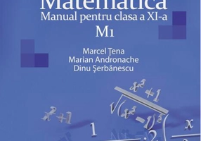 Matematică M1. Manual Clasa a XI-a