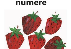 Prima mea carte despre numere (Ediție bilingvă)