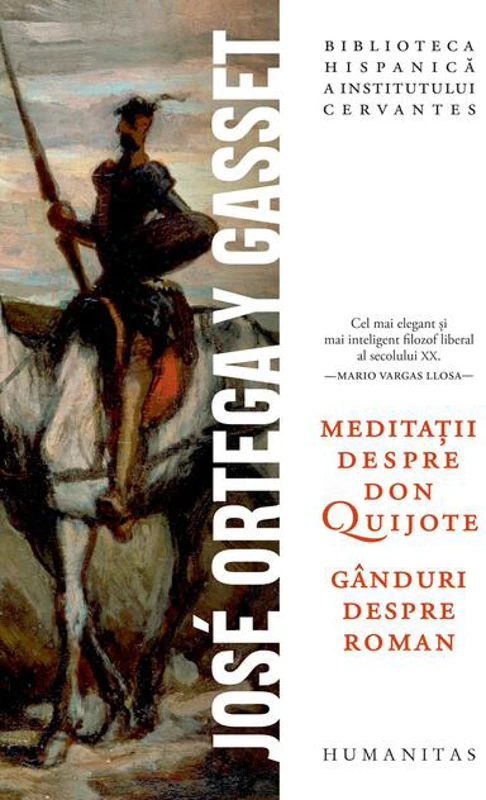 Meditații despre Don Quijote