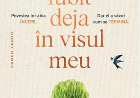 Te-am iubit deja în visul meu (Vol. 1)