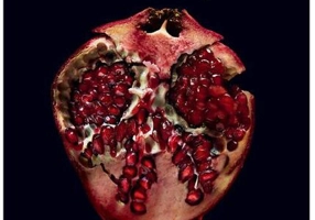 Soarele de la miezul nopții (Vol. 5)