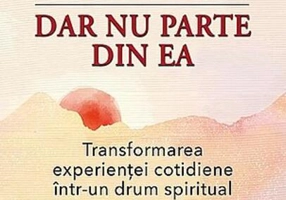 În lume, dar nu parte din ea