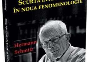 Scurtă introducere în noua fenomenologie