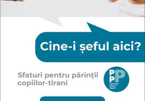 Cine-i șeful aici?