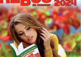 Almanah estival rebus de buzunar 2024