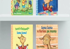 Pachet Seria Lama Lama II