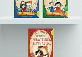 Pachet Seria Aripi & Co (incomplet)