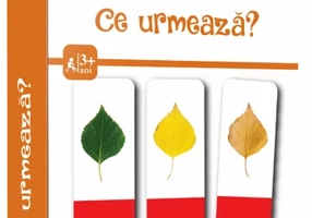 Ce urmeaza?