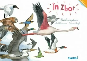 In zbor - Pasarile migratoare