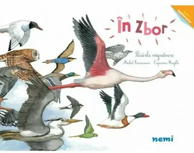 In zbor - Pasarile migratoare