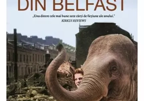 Elefantul din Belfast