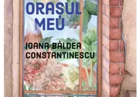 Castelul din orasul meu