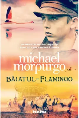 Baiatul flamingo