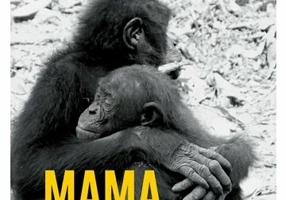 Mama. Ultima imbratisare