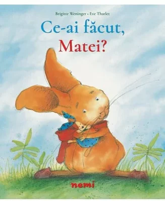Ce ai facut, Matei?