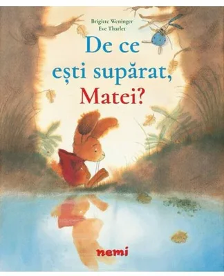 De ce esti suparat, Matei?