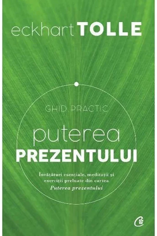 Puterea prezentului. Ghid practic