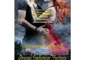 Orasul sufletelor pierdute (Instrumente Mortale, cartea a 5-a)