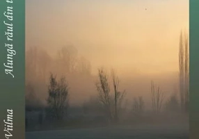 Alunga raul din tine