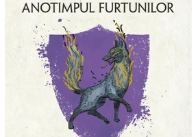 Anotimpul furtunilor. Seria Witcher, Cartea a VIII-a