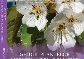 Ghidul plantelor medicinale si aromatice de la A la Z