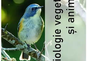 Biologie vegetala si animala - Ghid de pregatire intensiva pentru examenul de bacalaureat