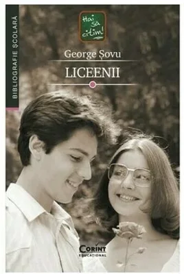 Liceenii