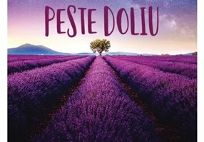 Cum sa treci peste doliu - carte de capatai pentru a te bucura iarasi de viata