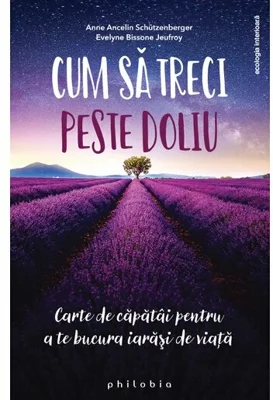 Cum sa treci peste doliu - carte de capatai pentru a te bucura iarasi de viata
