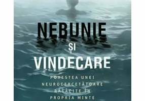Nebunie si vindecare
