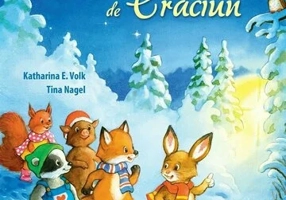 Andrei si luminitele de Craciun