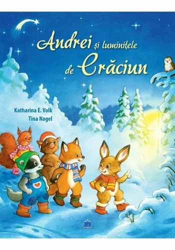 Andrei si luminitele de Craciun