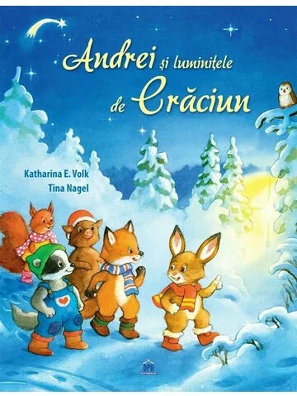 Andrei si luminitele de Craciun
