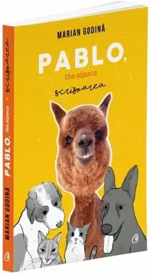 Pablo, the alpaca. Scrisoarea