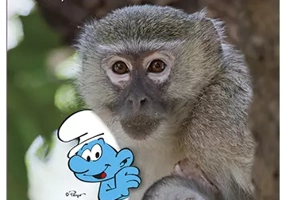 Strumfii si animale salbatice