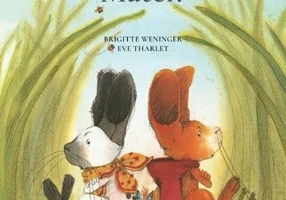 De ce va certati, Matei?