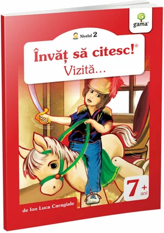Vizită