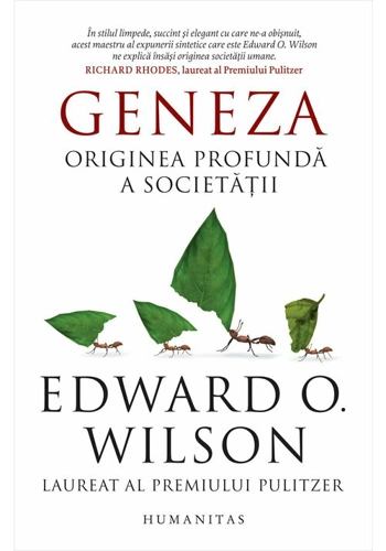 Geneza. Originea profunda a societatii
