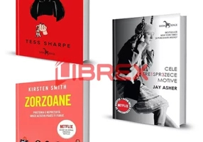 Pachet Bestsellere NETFLIX