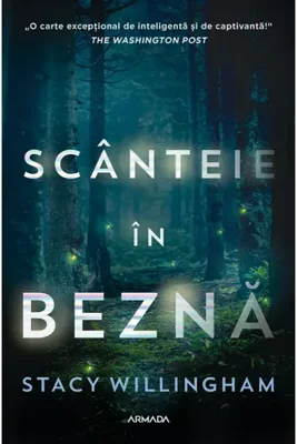 Scanteie in bezna