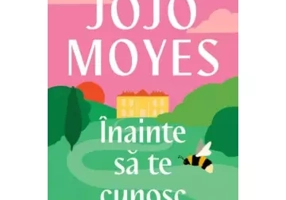 Inainte sa te cunosc