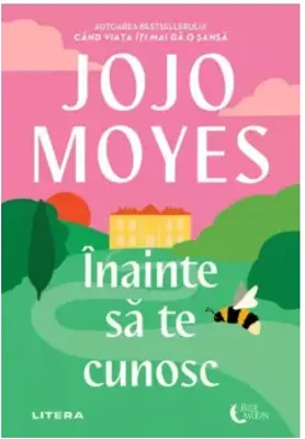 Inainte sa te cunosc