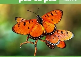 Matematica pas cu pas. Exercitii si probleme pentru clasa a VI-a