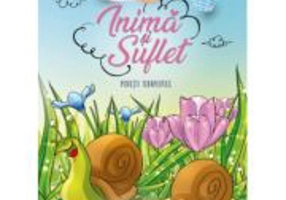 Povesti pentru inima si suflet - Mariana Konkoly, Dan Negrut