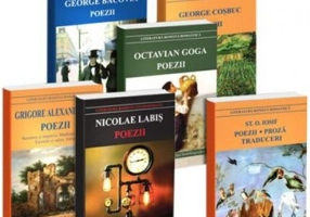 Pachet Poezii autori romani